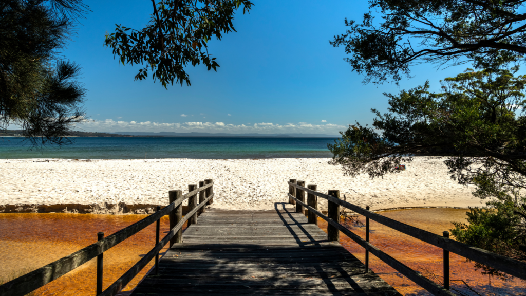 best things to do in jervis bay