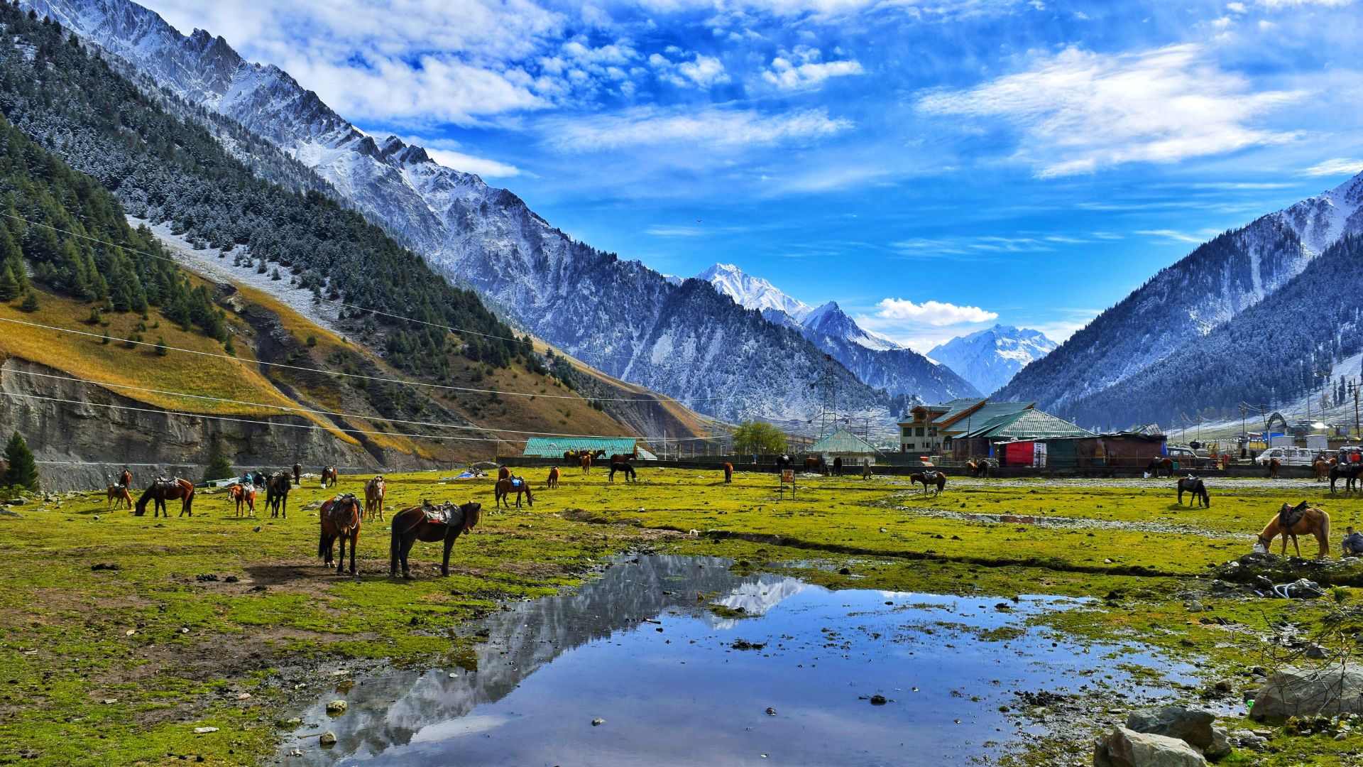6 Best Places to visit in Kashmir